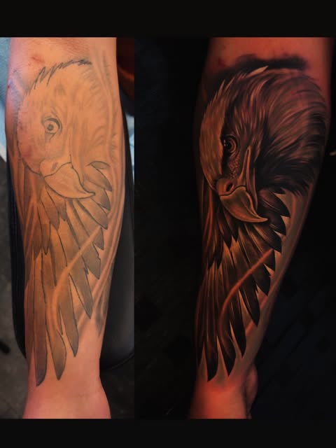 Cover-up de águila, antes y después, tatuador Alexander Terrero Sánchez · Tallahassee
